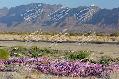 media/Jan-29-2023-PCA San Diego (Sun) [[aa0301ccc2]]/Yellow Group/Around the Pits/